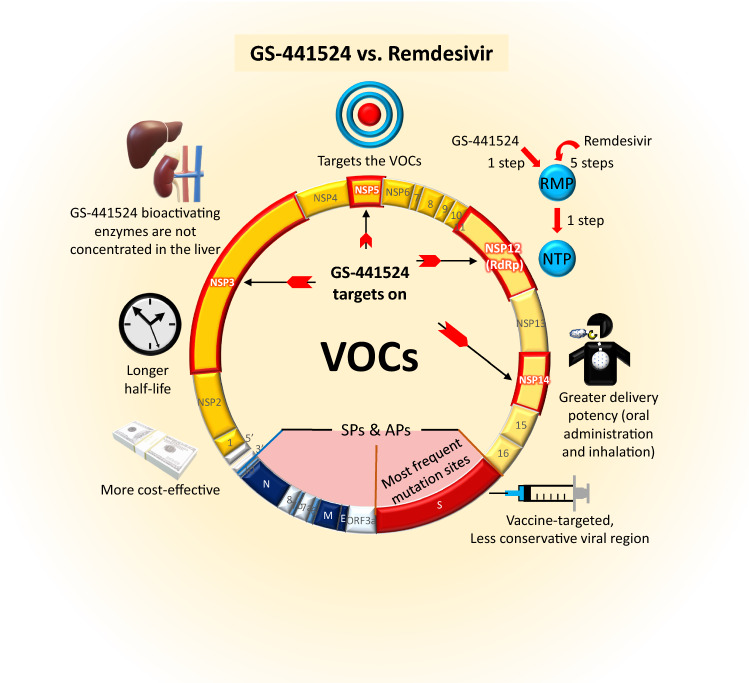 The Potential Protective Role of GS-441524, a Metabolite of the Prodrug Remdesivir, in Vaccine Breakthrough SARS-CoV-2 Infections.