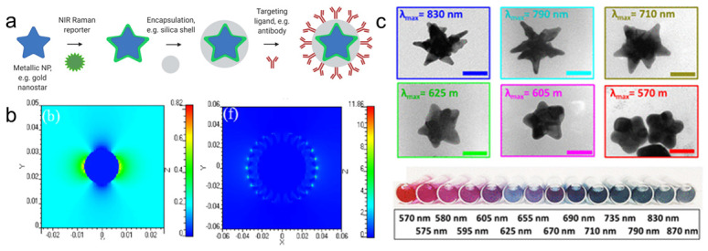 Design and synthesis of gold nanostars-based SERS nanotags for bioimaging applications.