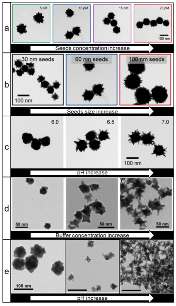 Design and synthesis of gold nanostars-based SERS nanotags for bioimaging applications.