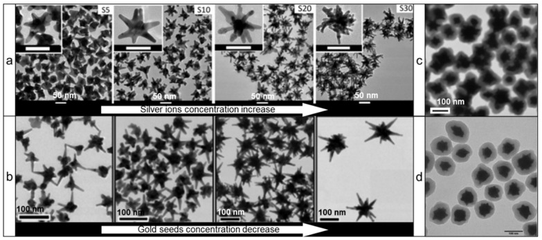 Design and synthesis of gold nanostars-based SERS nanotags for bioimaging applications.