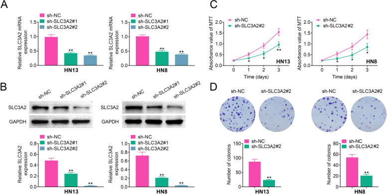 SLC3A2 inhibits ferroptosis in laryngeal carcinoma via mTOR pathway.