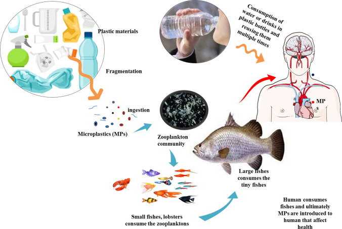 Microplastics in marine and aquatic habitats: sources, impact, and sustainable remediation approaches.