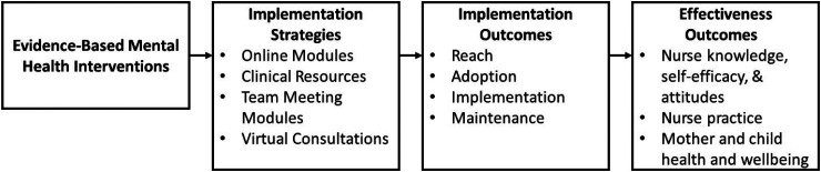 Implementing mental health interventions within a national nurse home visiting program: A mixed-methods evaluation.