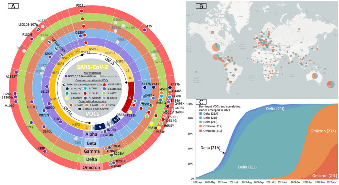 The Potential Protective Role of GS-441524, a Metabolite of the Prodrug Remdesivir, in Vaccine Breakthrough SARS-CoV-2 Infections.