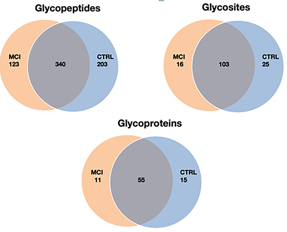 Large Scale Screening and Quantitative Analysis of Site-Specific N-Glycopeptides from Human Serum in Early Alzheimer's Disease Using LC-HCD-PRM-MS.