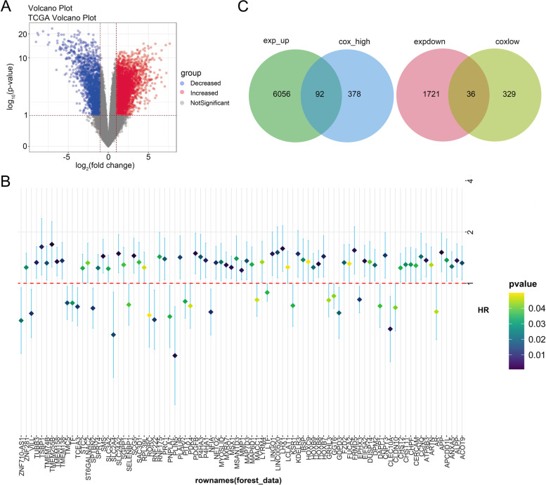 SLC3A2 inhibits ferroptosis in laryngeal carcinoma via mTOR pathway.