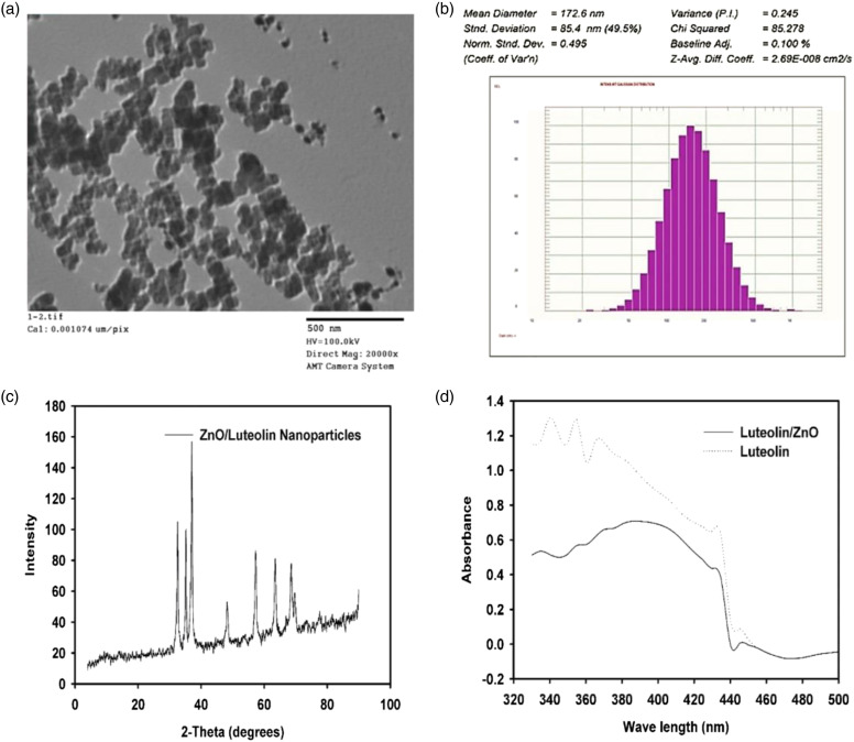Luteolin loaded on zinc oxide nanoparticles ameliorates non-alcoholic fatty liver disease associated with insulin resistance in diabetic rats <i>via</i> regulation of PI3K/AKT/FoxO1 pathway.