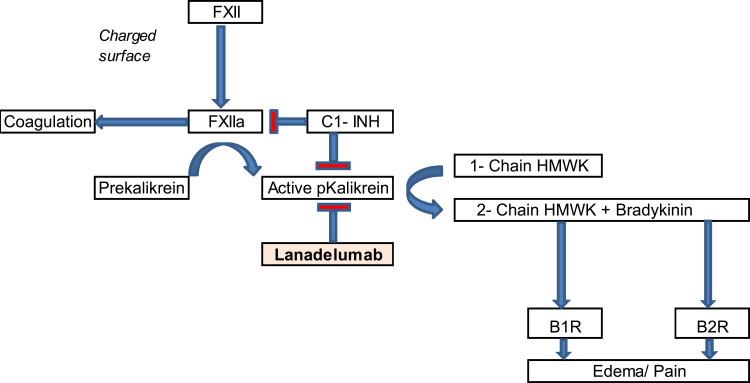 Safety Aspects and Rational Use of Lanadelumab Injections in the Treatment of Hereditary Angioedema (HAE): Clinical Insights.