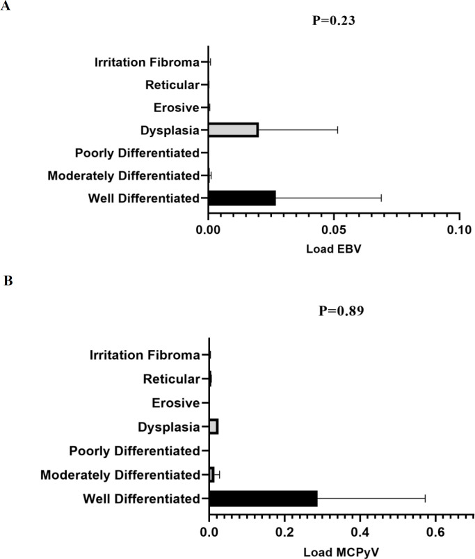 Prevalence of Co-infection by Human Papillomavirus, Epstein- Barr Virus and Merkel Cell Polyomavirus in Iranian Oral Cavity Cancer and Pre-malignant Lesions.