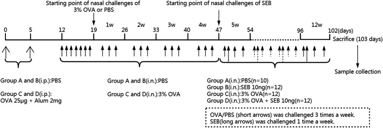 Activation of STAT6 by intranasal allergens correlated with the development of eosinophilic chronic rhinosinusitis in a mouse model.