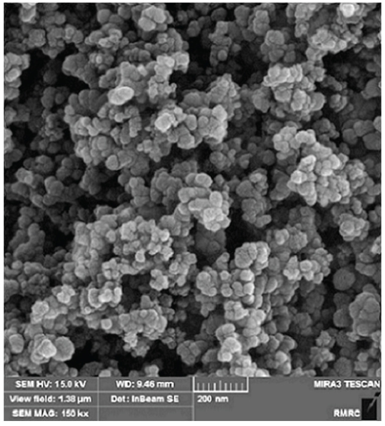 Zinc Oxide Nanoparticles Enhance Drought Tolerance in Wheat via Physio-Biochemical Changes and Stress Genes Expression.