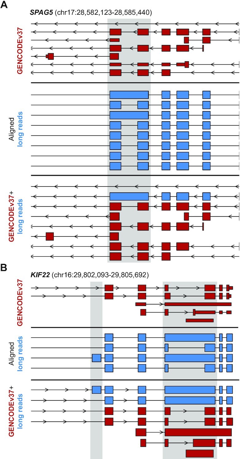 Comprehensive profiling of mRNA splicing indicates that GC content signals altered cassette exon inclusion in Ewing sarcoma.