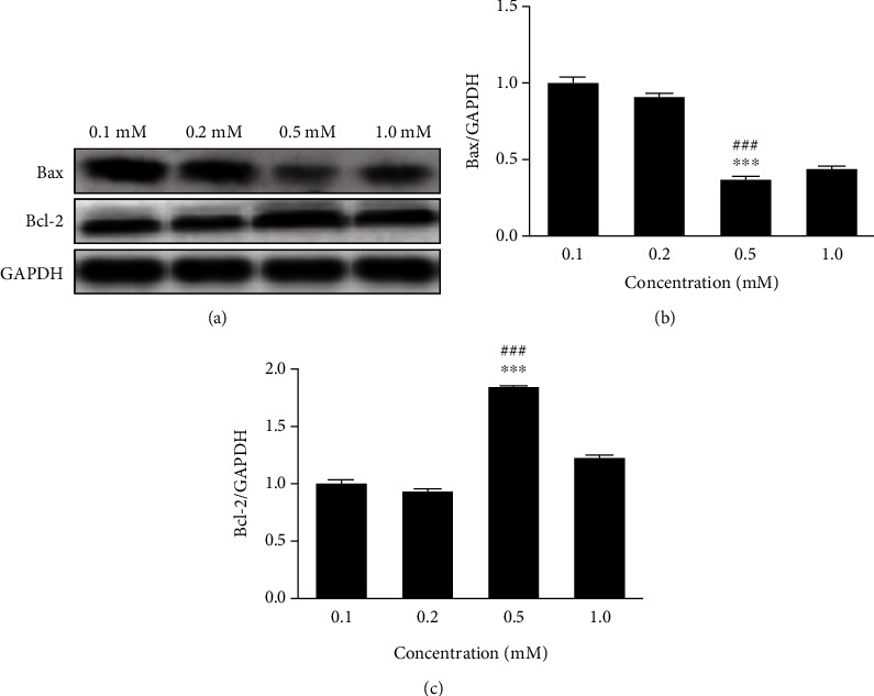 Protective Effects of Vitamin C against Neomycin-Induced Apoptosis in HEI-OC1 Auditory Cell.