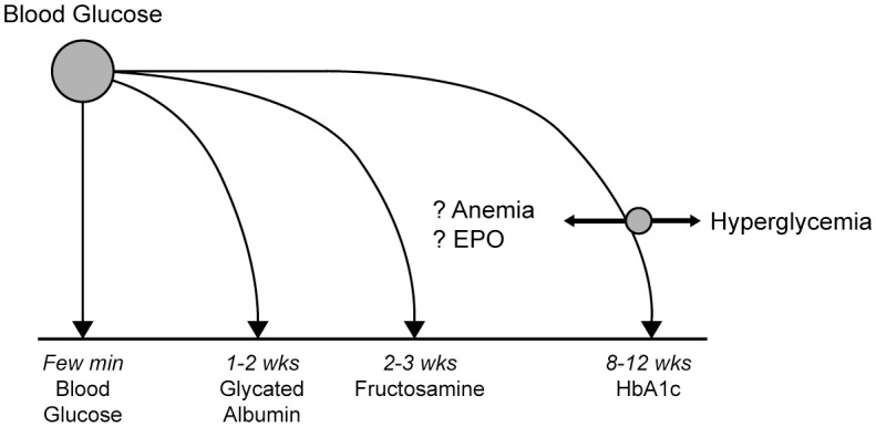 Making sense of glucose sensors in end-stage kidney disease: A review.