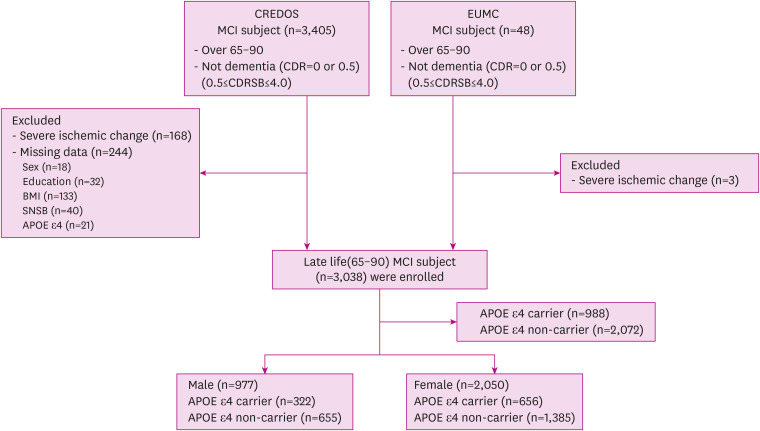 Association Between Body Mass Index and Cognitive Function in Mild Cognitive Impairment Regardless of APOE ε4 Status.