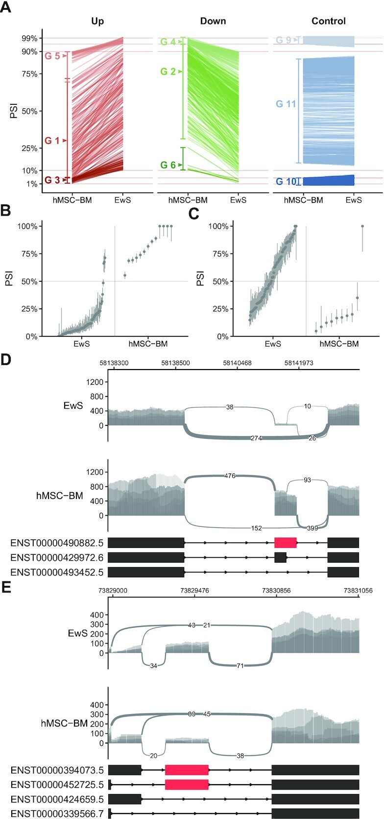 Comprehensive profiling of mRNA splicing indicates that GC content signals altered cassette exon inclusion in Ewing sarcoma.