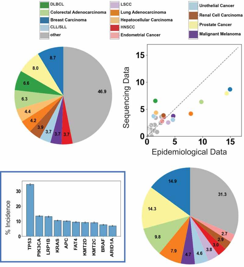 How often is each gene mutated within the cancer patient population?