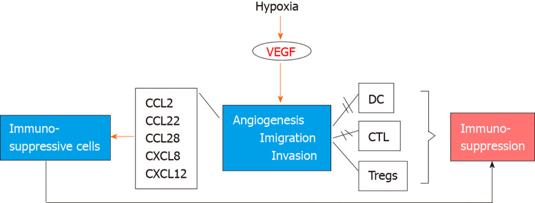 Interrogating the interplay of angiogenesis and immunity in metastatic colorectal cancer.