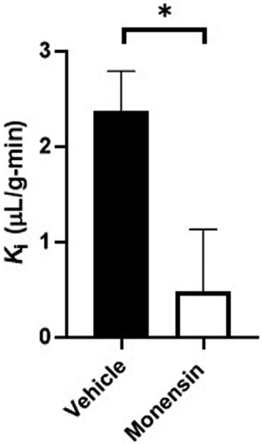 Endocytosis of insulin at the blood-brain barrier.