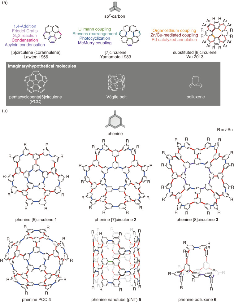 Phenine design for nanocarbon molecules.