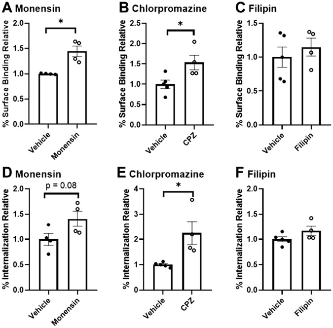 Endocytosis of insulin at the blood-brain barrier.