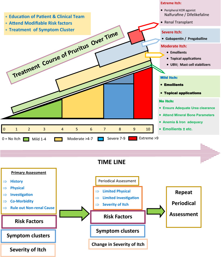 Obstacles to Early Diagnosis and Treatment of Pruritus in Patients with Chronic Kidney Disease: Current Perspectives.