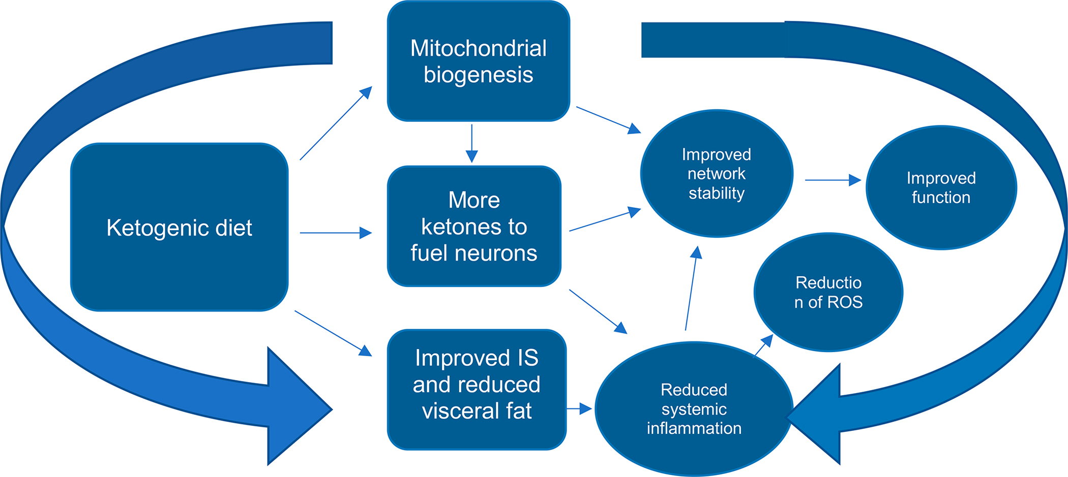 The Role of Ketogenic Metabolic Therapy on the Brain in Serious Mental Illness: A Review.