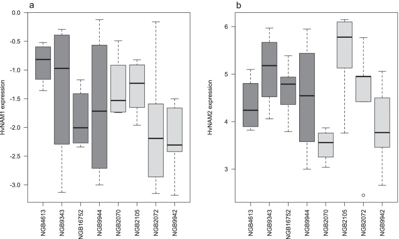 Protein content and HvNAM alleles in Nordic barley (Hordeum vulgare) during a century of breeding.