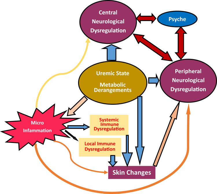 Obstacles to Early Diagnosis and Treatment of Pruritus in Patients with Chronic Kidney Disease: Current Perspectives.