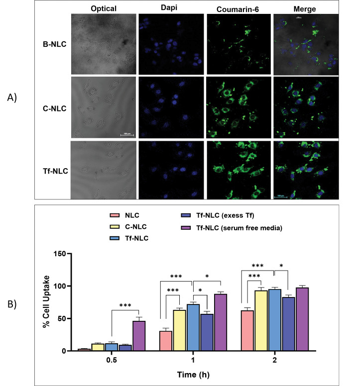 Brain targeted delivery of rapamycin using transferrin decorated nanostructured lipid carriers.