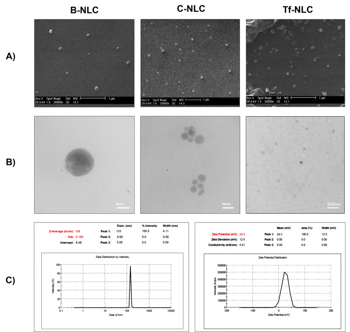 Brain targeted delivery of rapamycin using transferrin decorated nanostructured lipid carriers.