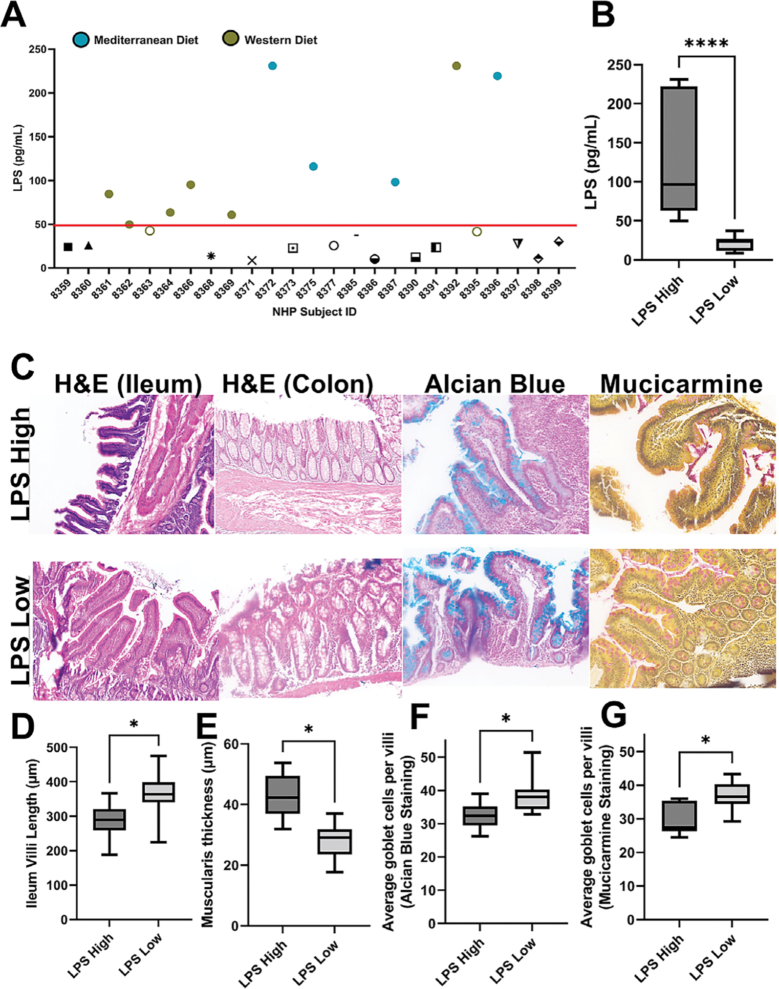 Impact of gut permeability on the breast microbiome using a non-human primate model.