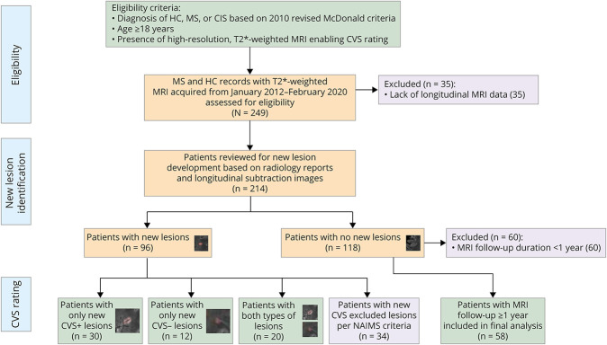 Central Vein Sign Profile of Newly Developing Lesions in Multiple Sclerosis: A 3-Year Longitudinal Study.