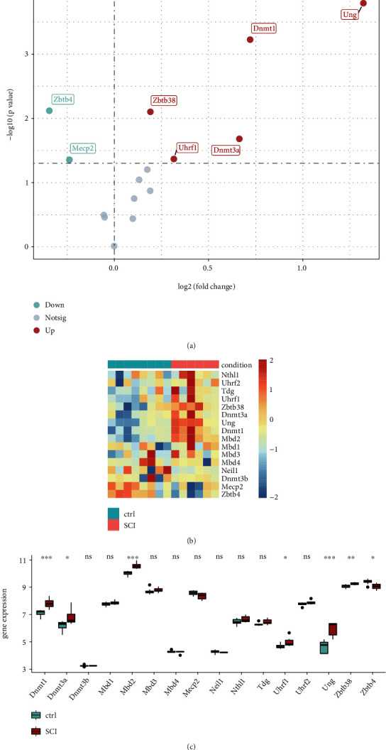 Molecular Characterization and Clinical Characteristics of m5C-Based RNA Methylation in Spinal Cord Injury: Validated by qPCR.