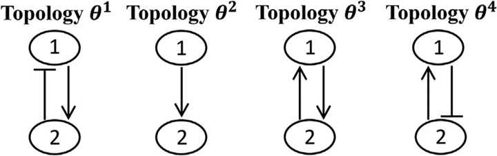 Inference of regulatory networks through temporally sparse data.