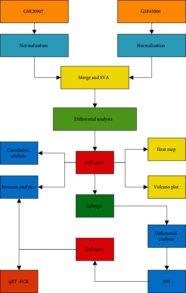 Molecular Characterization and Clinical Characteristics of m5C-Based RNA Methylation in Spinal Cord Injury: Validated by qPCR.