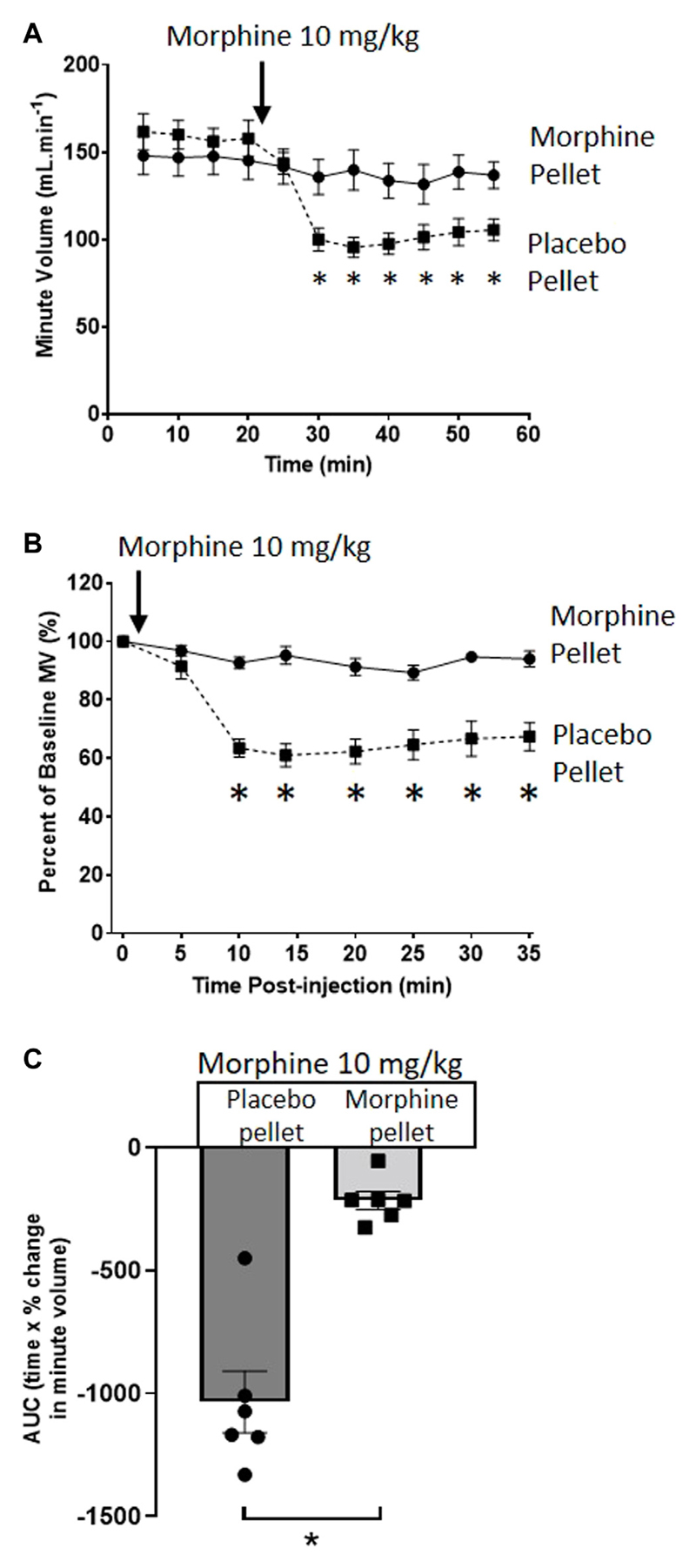 Role of Acetaldehyde in Ethanol Reversal of Tolerance to Morphine-Induced Respiratory Depression in Mice.