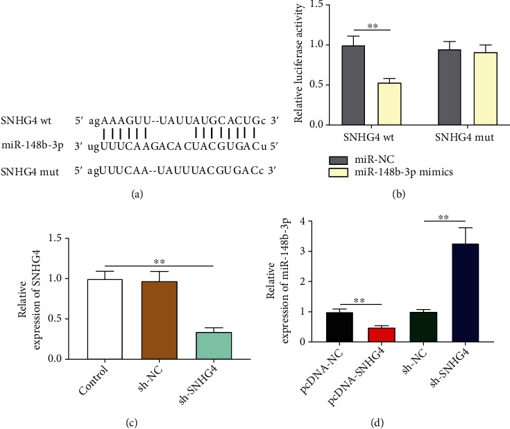 Long Noncoding RNA SNHG4 Attenuates the Injury of Myocardial Infarction via Regulating miR-148b-3p/DUSP1 Axis.