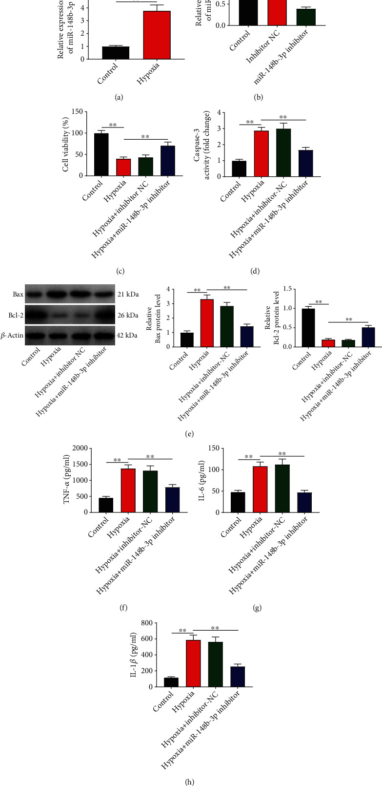 Long Noncoding RNA SNHG4 Attenuates the Injury of Myocardial Infarction via Regulating miR-148b-3p/DUSP1 Axis.