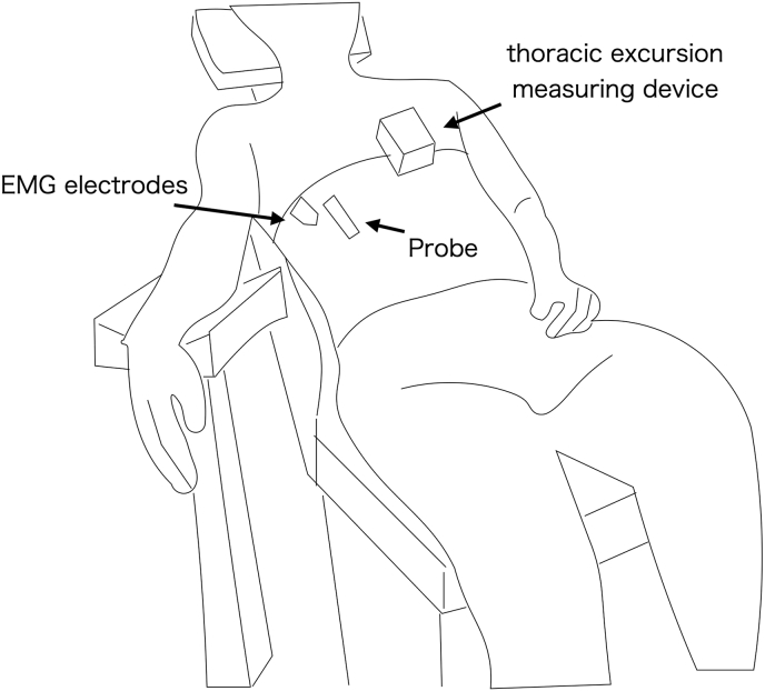 Effect of chest mobilization on intercostal muscle stiffness