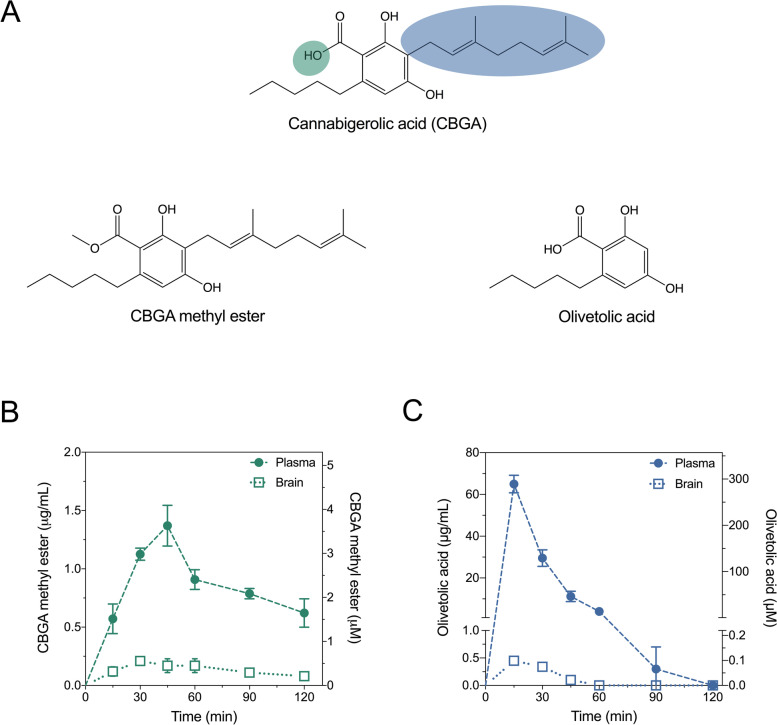 Olivetolic acid, a cannabinoid precursor in Cannabis sativa, but not CBGA methyl ester exhibits a modest anticonvulsant effect in a mouse model of Dravet syndrome.