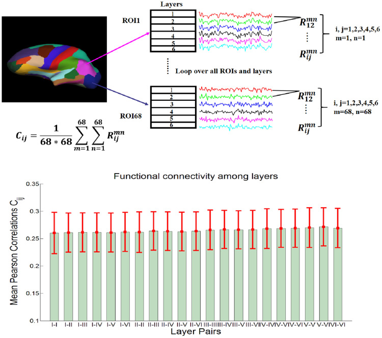 Resting state fMRI connectivity is sensitive to laminar connectional architecture in the human brain.