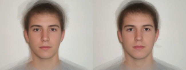 Methodological issues when using face prototypes: A case study on the Faceaurus dataset.