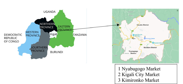 What Kigali's open-air markets reveal about achieving food and nutrition security: the role of African indigenous crops.