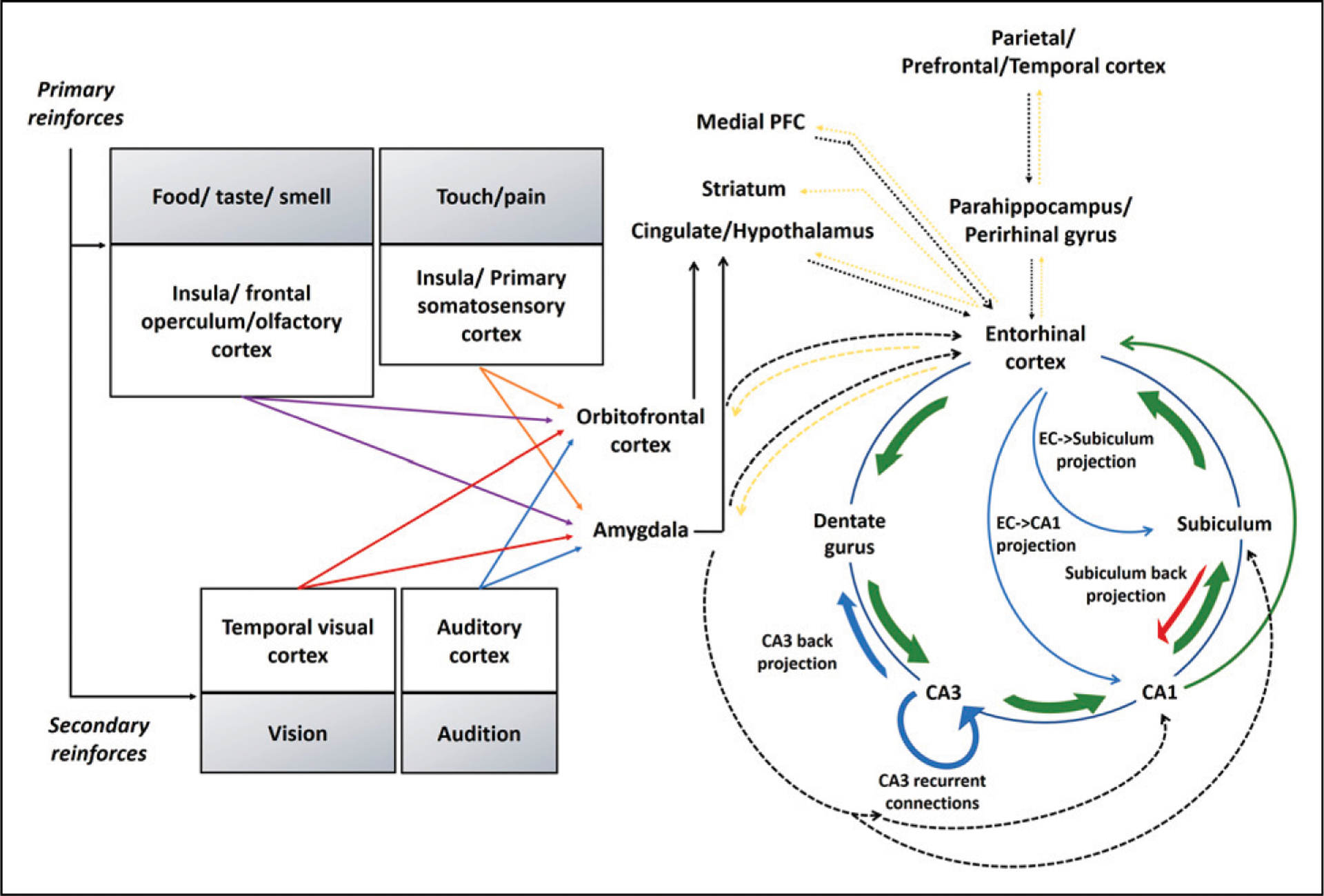 Emotion Processing Dysfunction in Alzheimer's Disease: An Overview of Behavioral Findings, Systems Neural Correlates, and Underlying Neural Biology.