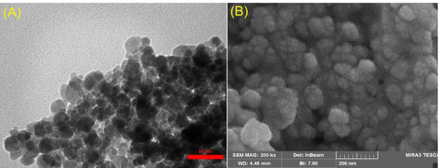 High efficacy of tamoxifen-loaded L-lysine coated magnetic iron oxide nanoparticles in cell cycle arrest and anti-cancer activity for breast cancer therapy.