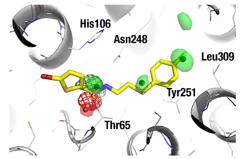 Extracting Atomic Contributions to Binding Free Energy Using Molecular Dynamics Simulations with Mixed Solvents (MDmix).