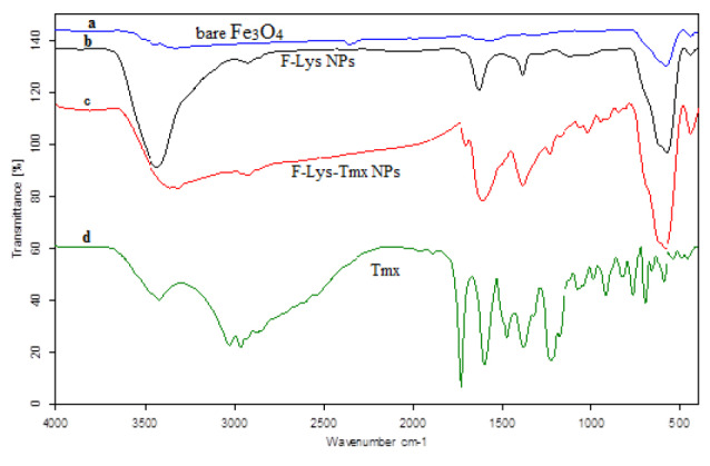 High efficacy of tamoxifen-loaded L-lysine coated magnetic iron oxide nanoparticles in cell cycle arrest and anti-cancer activity for breast cancer therapy.