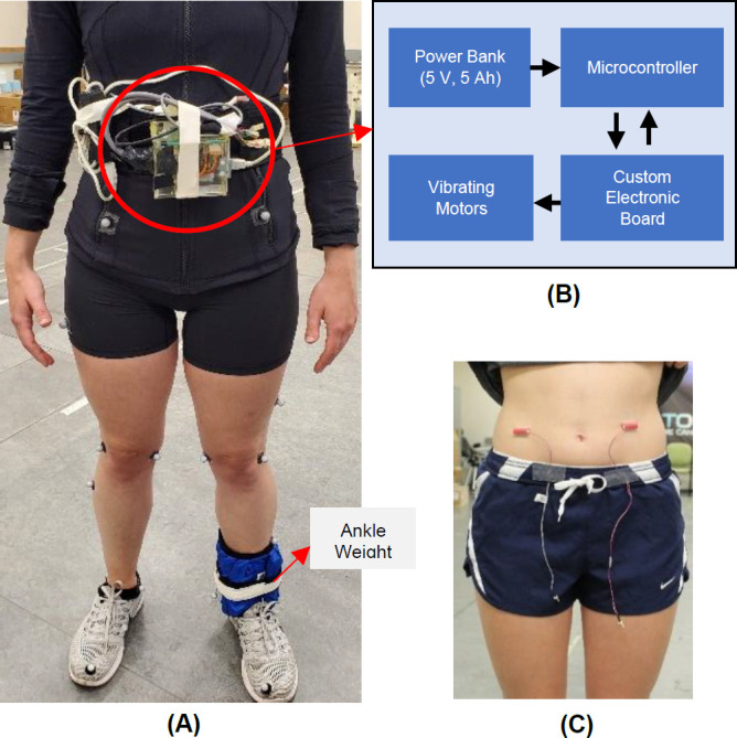 The Short-Term Effects of Rhythmic Vibrotactile and Auditory Biofeedback on the Gait of Individuals After Weight-Induced Asymmetry.