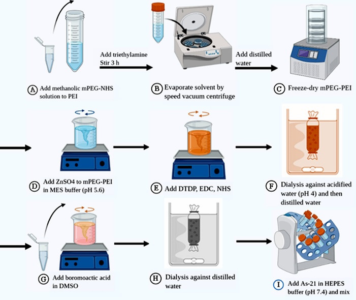 PEGylated nanohydrogels delivering anti-MicroRNA-21 suppress ovarian tumor-associated angiogenesis in matrigel and chicken chorioallantoic membrane models.